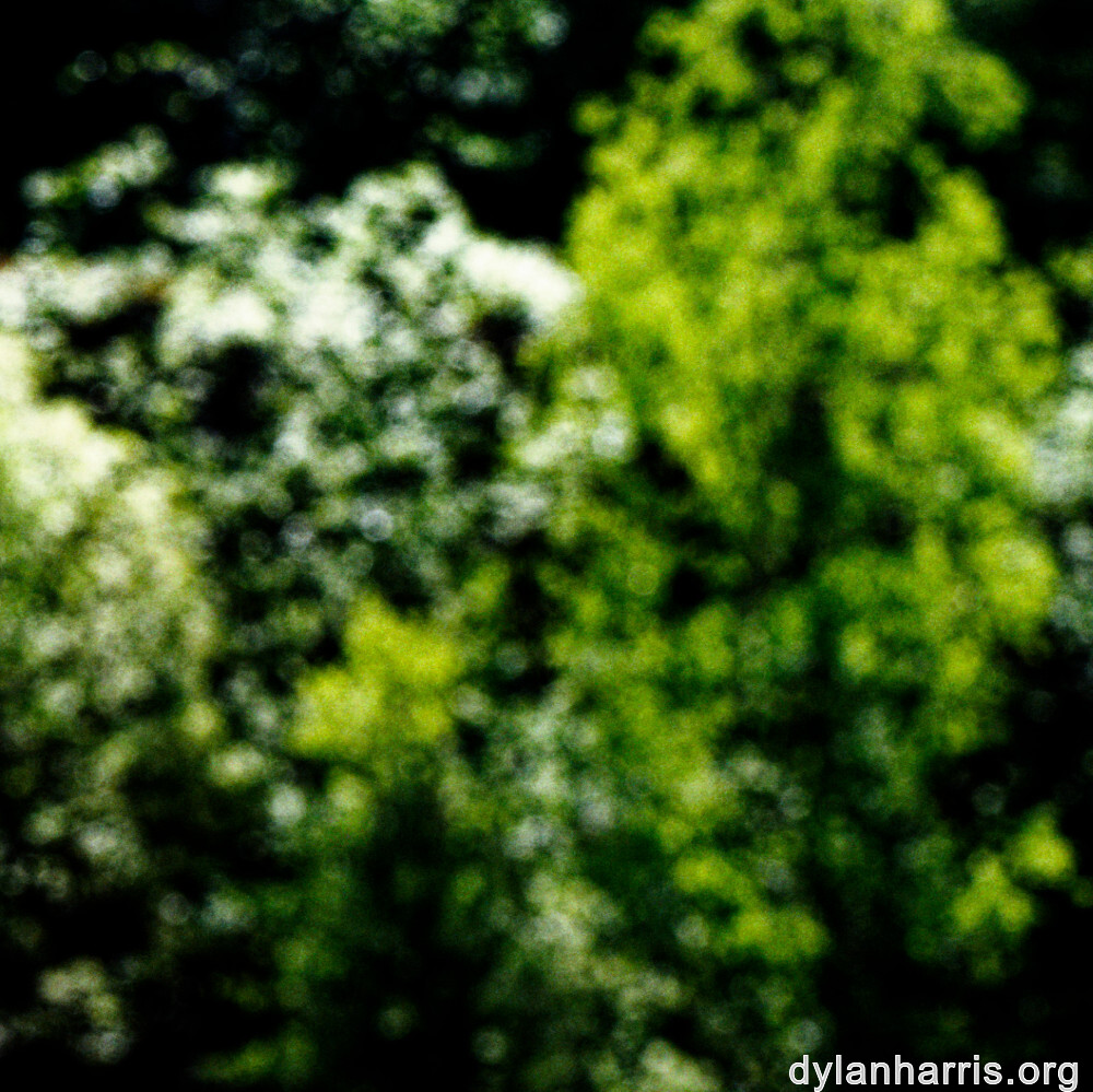 image: This is &lsquo;sch&euml;fflenger bierg (viii) 4&rsquo;.