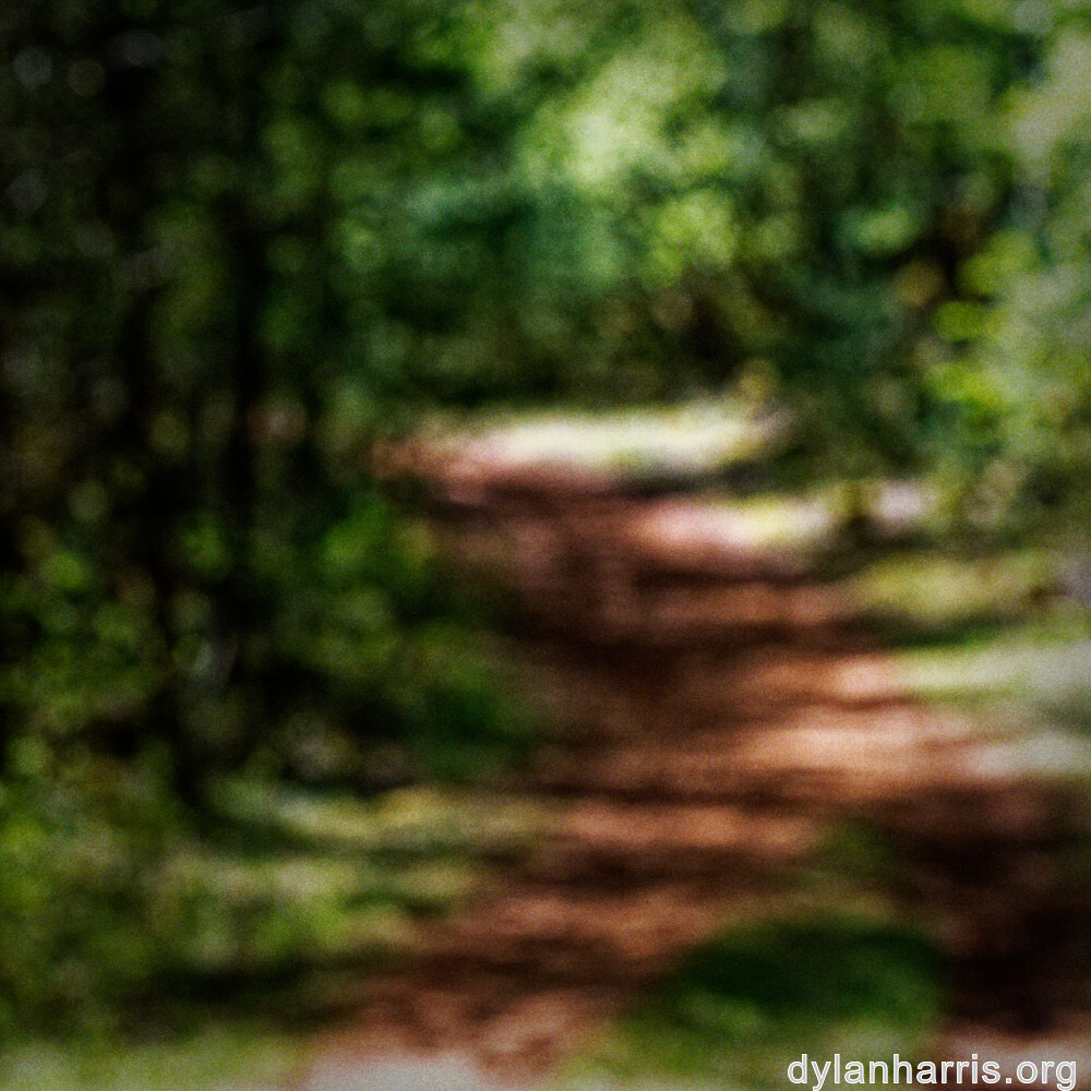 image: This is &lsquo;sch&euml;fflenger bierg (viii) 5&rsquo;.