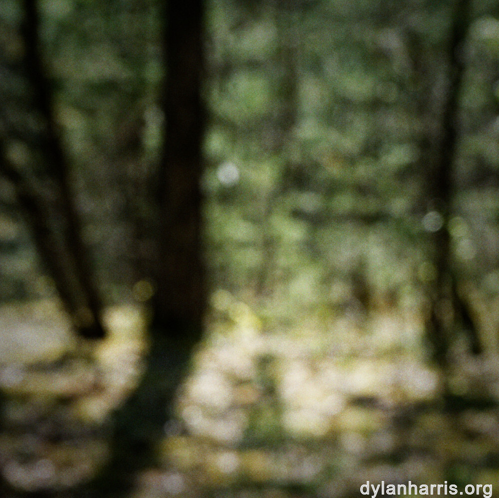 image: This is &lsquo;sch&euml;fflenger bierg (viii) 6&rsquo;.