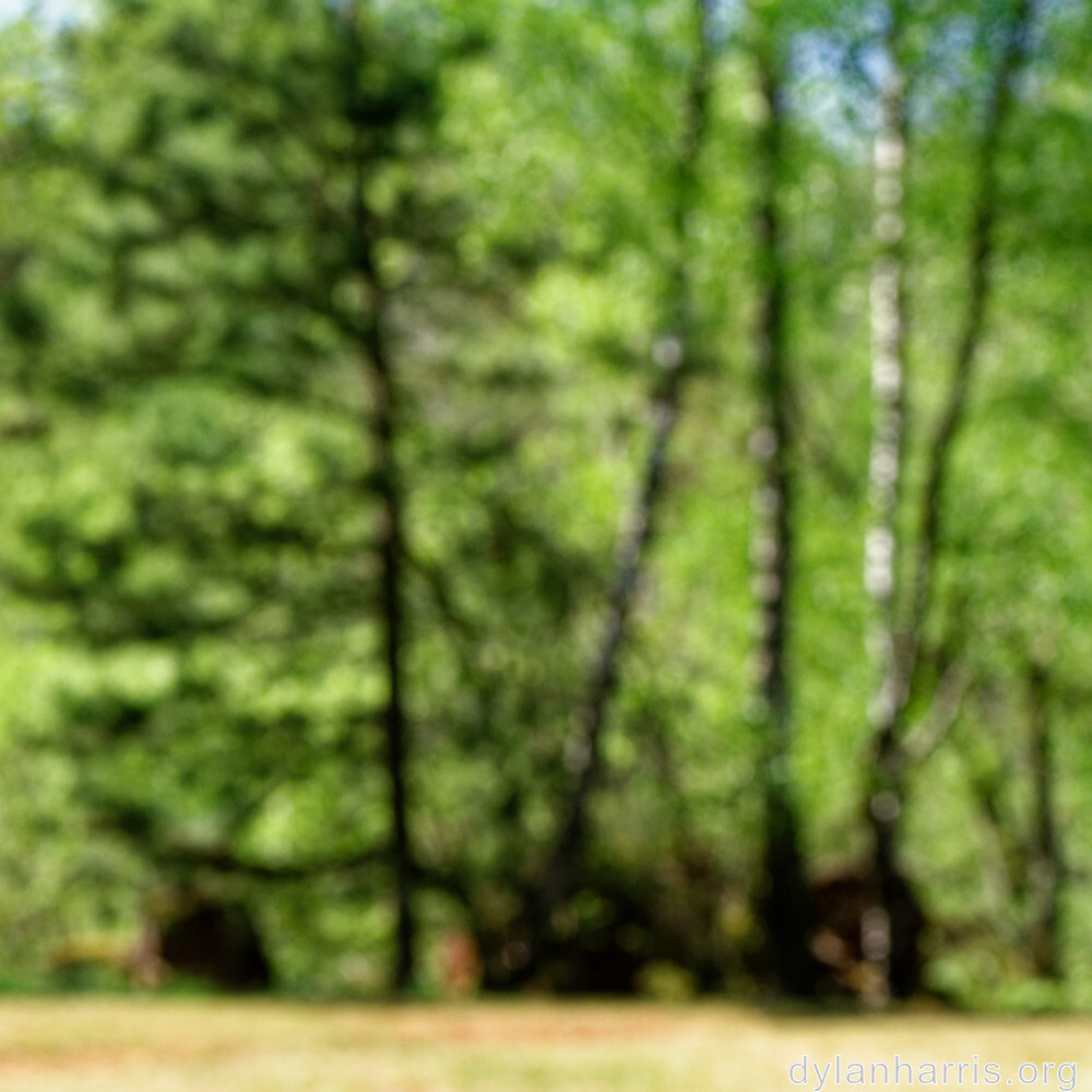 image: This is &lsquo;sch&euml;fflenger bierg (viii) 7&rsquo;.