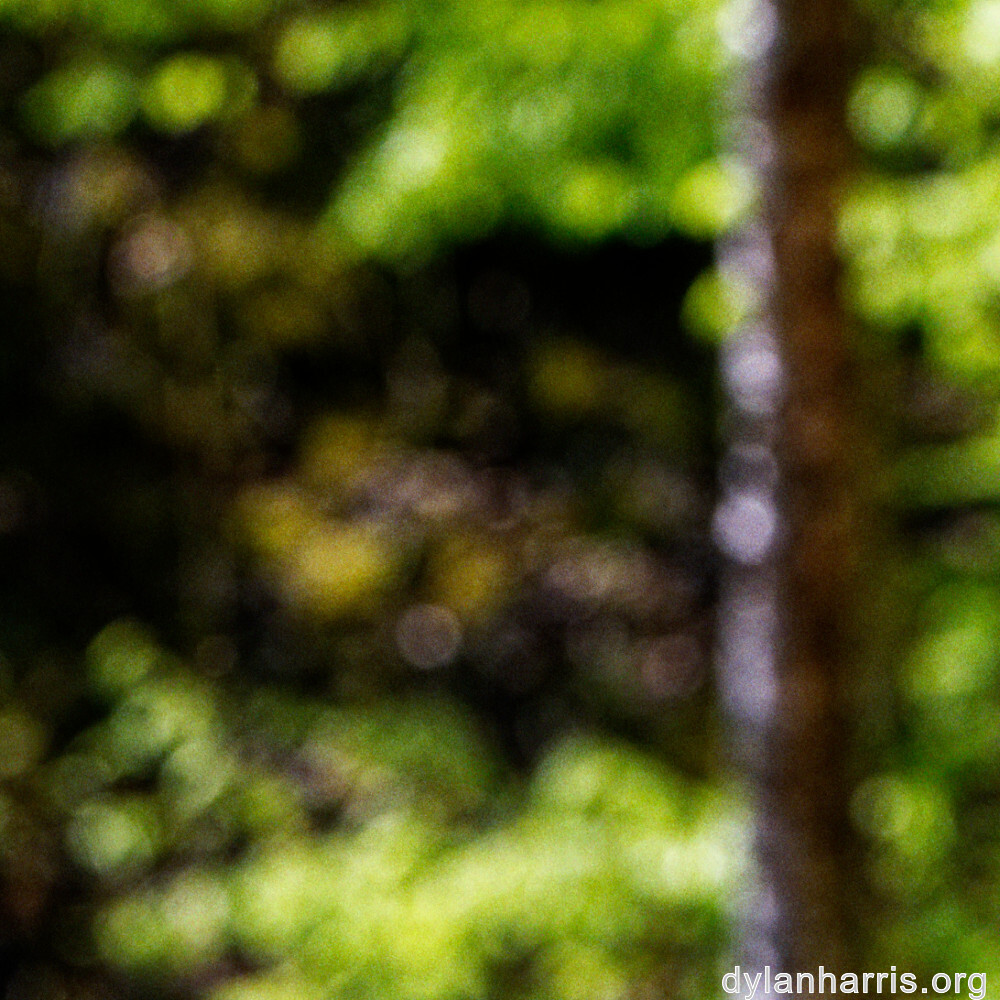 image: This is &lsquo;sch&euml;fflenger bierg (viii) 8&rsquo;.