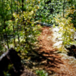 image: Image from the photoset &lsquo;sch&euml;fflenger bierg (viii)&rsquo;.