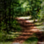 image: Image from the photoset &lsquo;sch&euml;fflenger bierg (viii)&rsquo;.