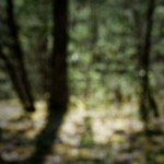 image: sch&euml;fflenger bierg (viii) photoset