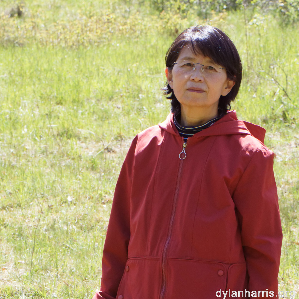 image: This is &lsquo;L (xxix) 1&rsquo;.