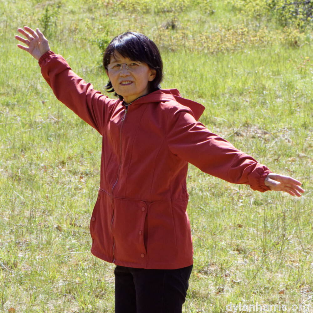 image: This is &lsquo;L (xxix) 2&rsquo;.