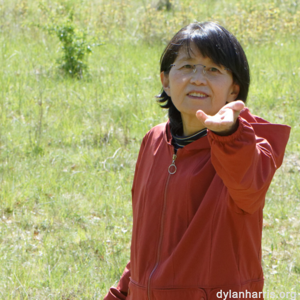 image: This is &lsquo;L (xxix) 3&rsquo;.