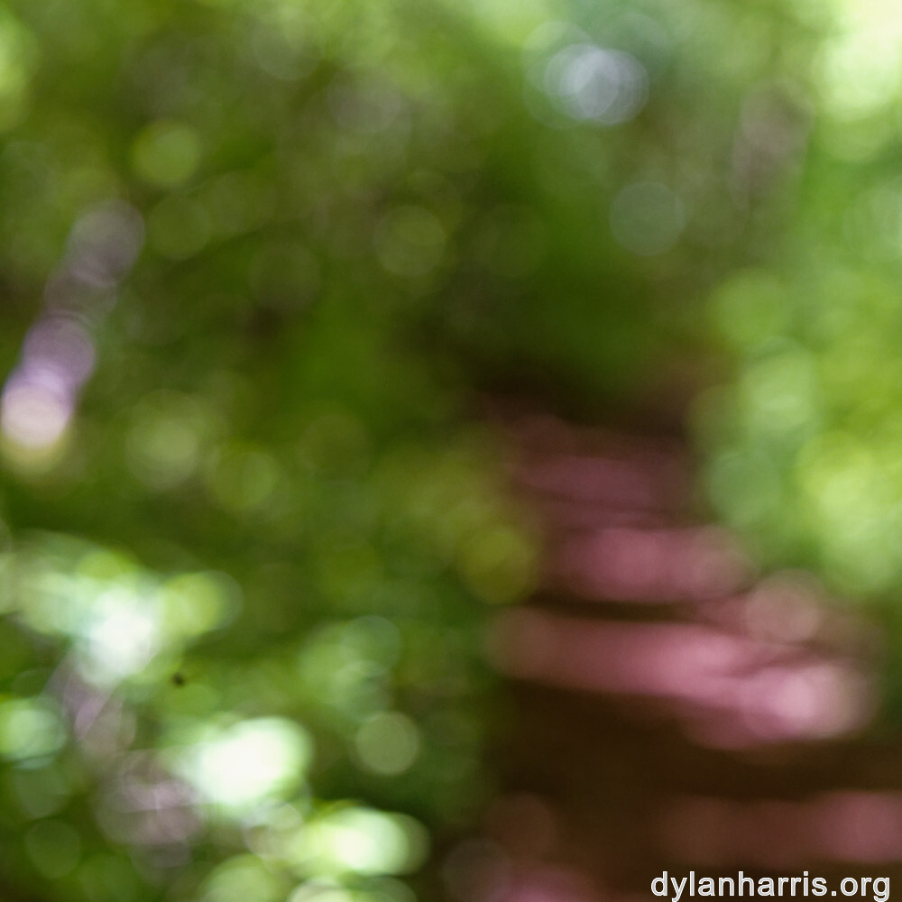 image: This is &lsquo;sch&euml;fflenger bierg (ix) 1&rsquo;.