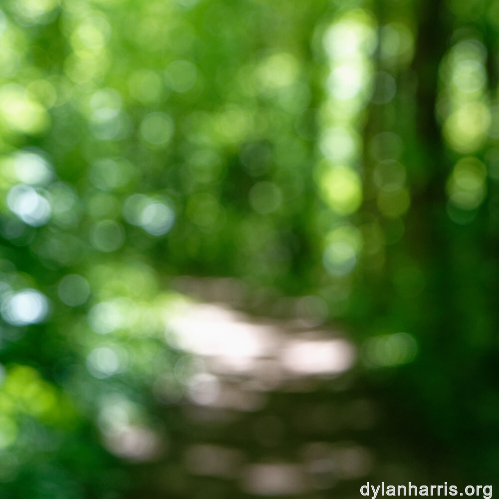 image: This is &lsquo;sch&euml;fflenger bierg (ix) 2&rsquo;.