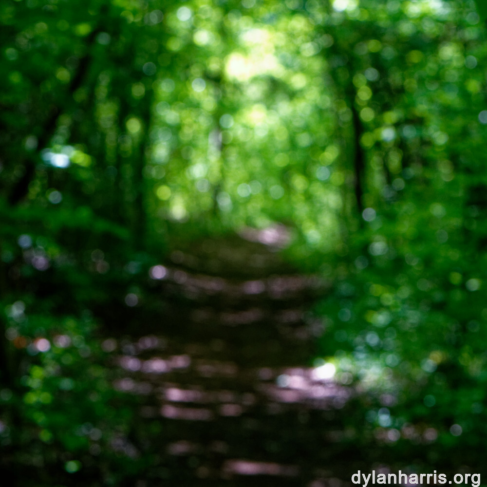 image: This is &lsquo;sch&euml;fflenger bierg (ix) 4&rsquo;.