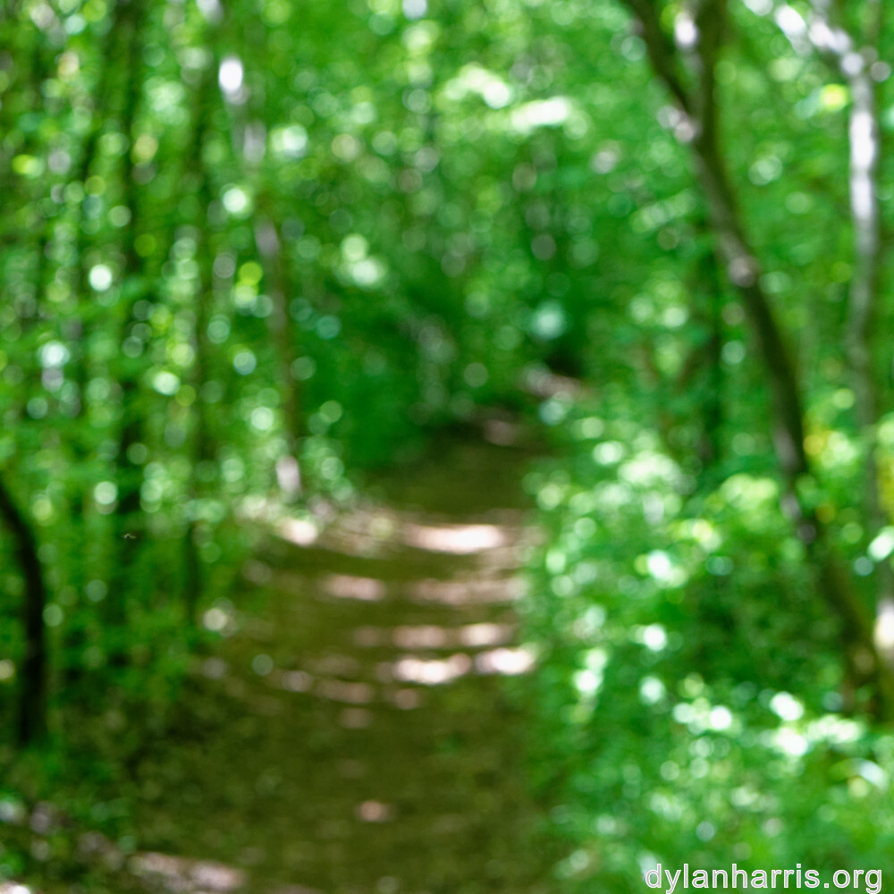 image: This is &lsquo;sch&euml;fflenger bierg (ix) 5&rsquo;.