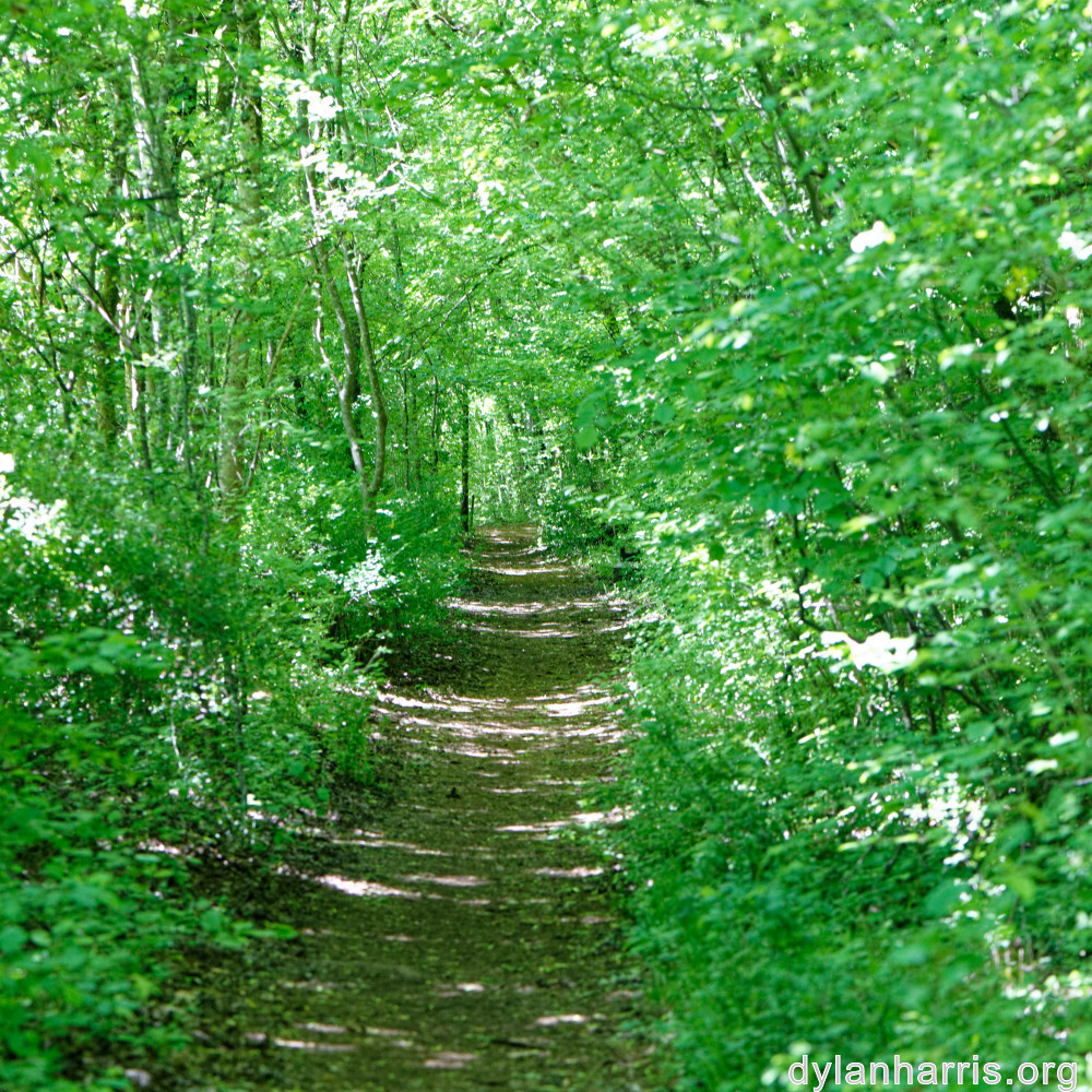 image: This is &lsquo;sch&euml;fflenger bierg (ix) 6&rsquo;.