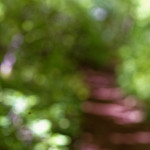 image: Image from the photoset &lsquo;sch&euml;fflenger bierg (ix)&rsquo;.