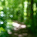 image: sch&euml;fflenger bierg (ix) photoset