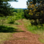 image: Image from the photoset &lsquo;sch&euml;fflenger bierg (ix)&rsquo;.