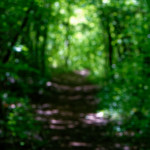 image: Image from the photoset &lsquo;sch&euml;fflenger bierg (ix)&rsquo;.