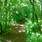 image: Image from the photoset &lsquo;sch&euml;fflenger bierg (ix)&rsquo;.