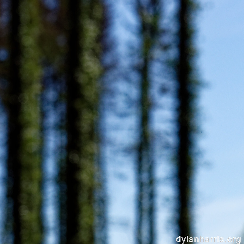 image: This is &lsquo;terres rouges (xvii) 2&rsquo;.