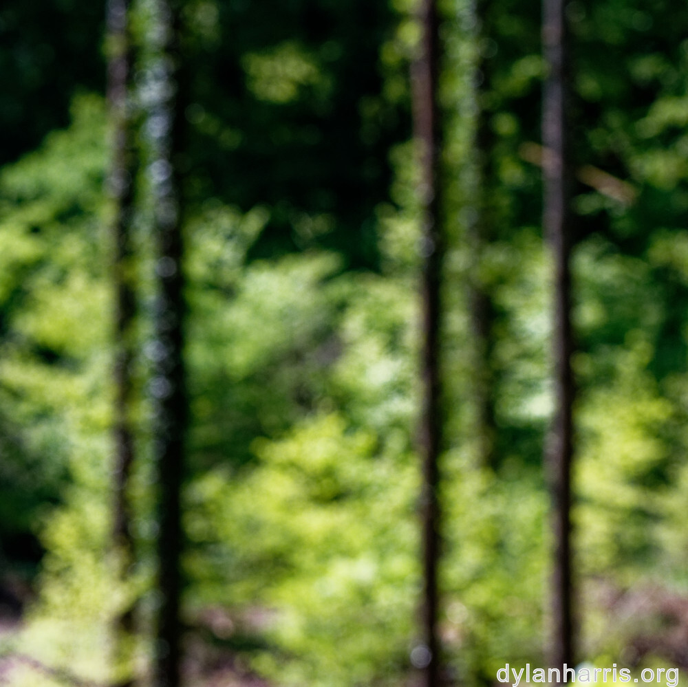 image: This is &lsquo;terres rouges (xvii) 3&rsquo;.