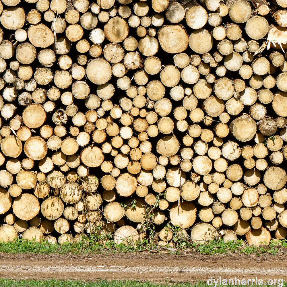 image: This is &lsquo;terres rouges (xvii) 4&rsquo;.