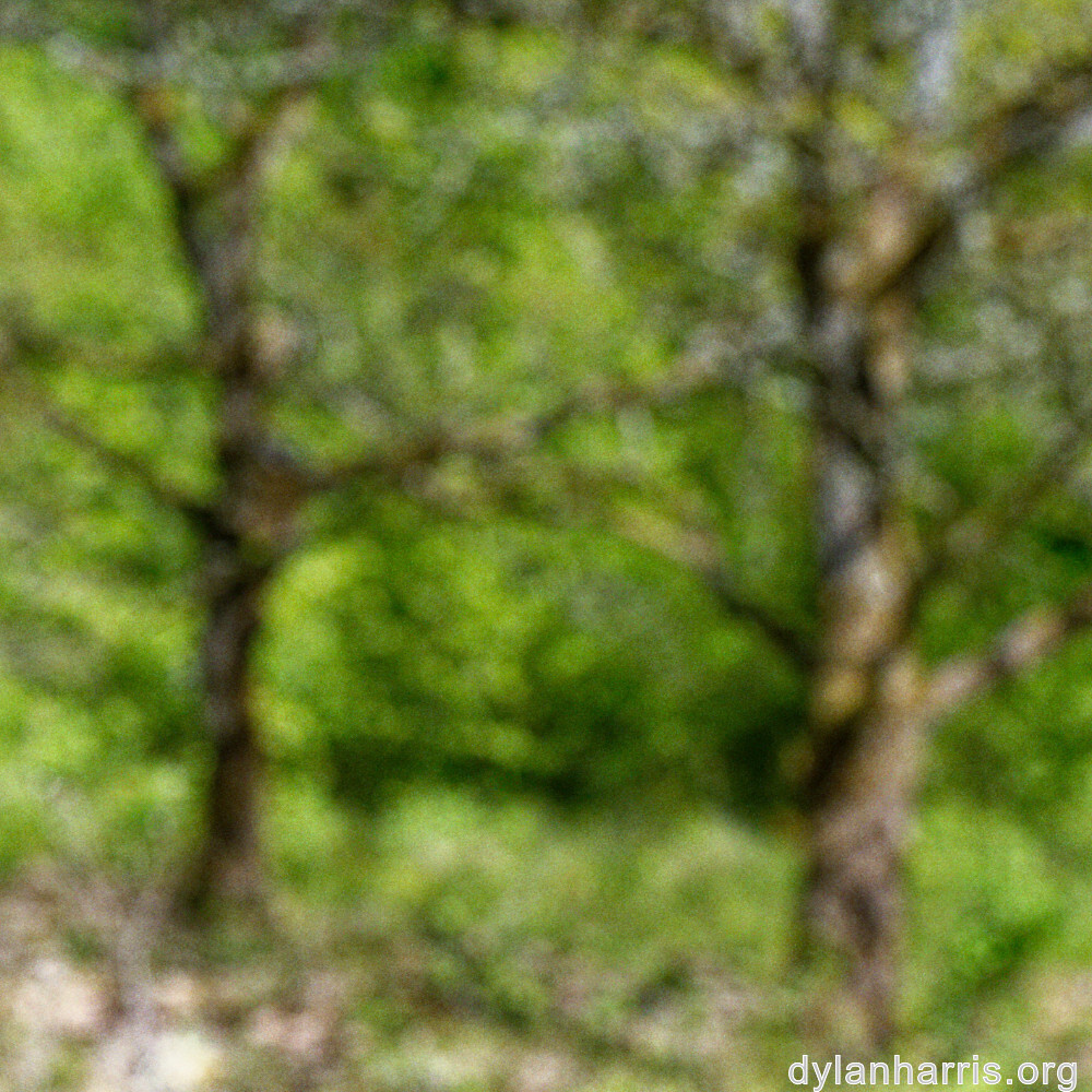 image: This is &lsquo;terres rouges (xvii) 5&rsquo;.