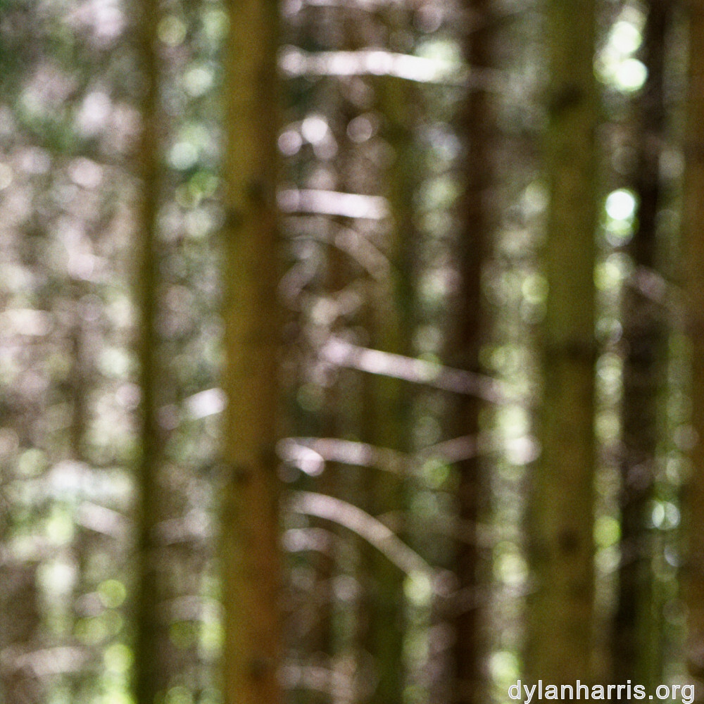 image: This is &lsquo;terres rouges (xvii) 6&rsquo;.