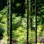 image: Image from the photoset &lsquo;terres rouges (xvii)&rsquo;.