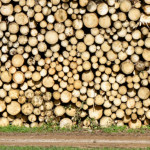 image: Image from the photoset &lsquo;terres rouges (xvii)&rsquo;.