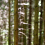 image: Image from the photoset &lsquo;terres rouges (xvii)&rsquo;.