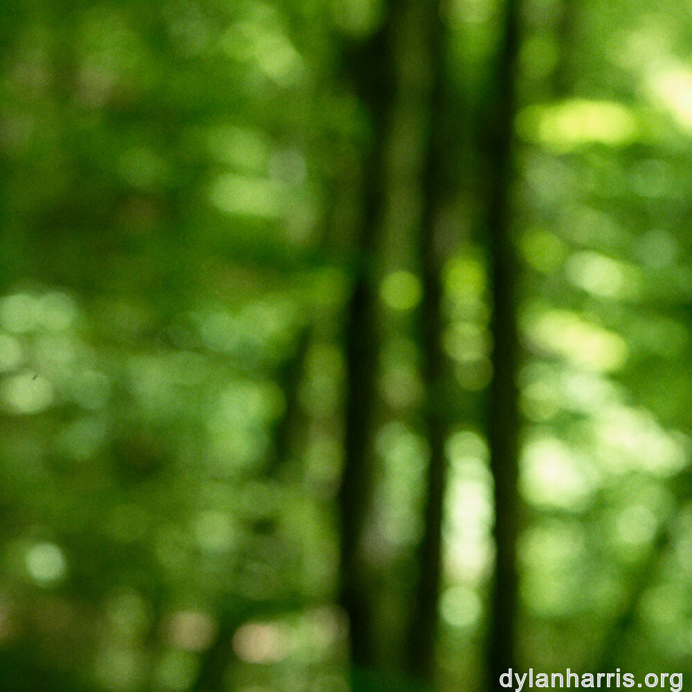 image: This is &lsquo;terres rouges (xviii) 2&rsquo;.