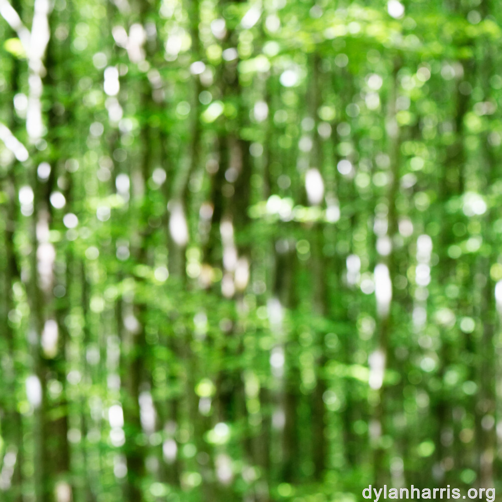 image: This is &lsquo;terres rouges (xviii) 3&rsquo;.