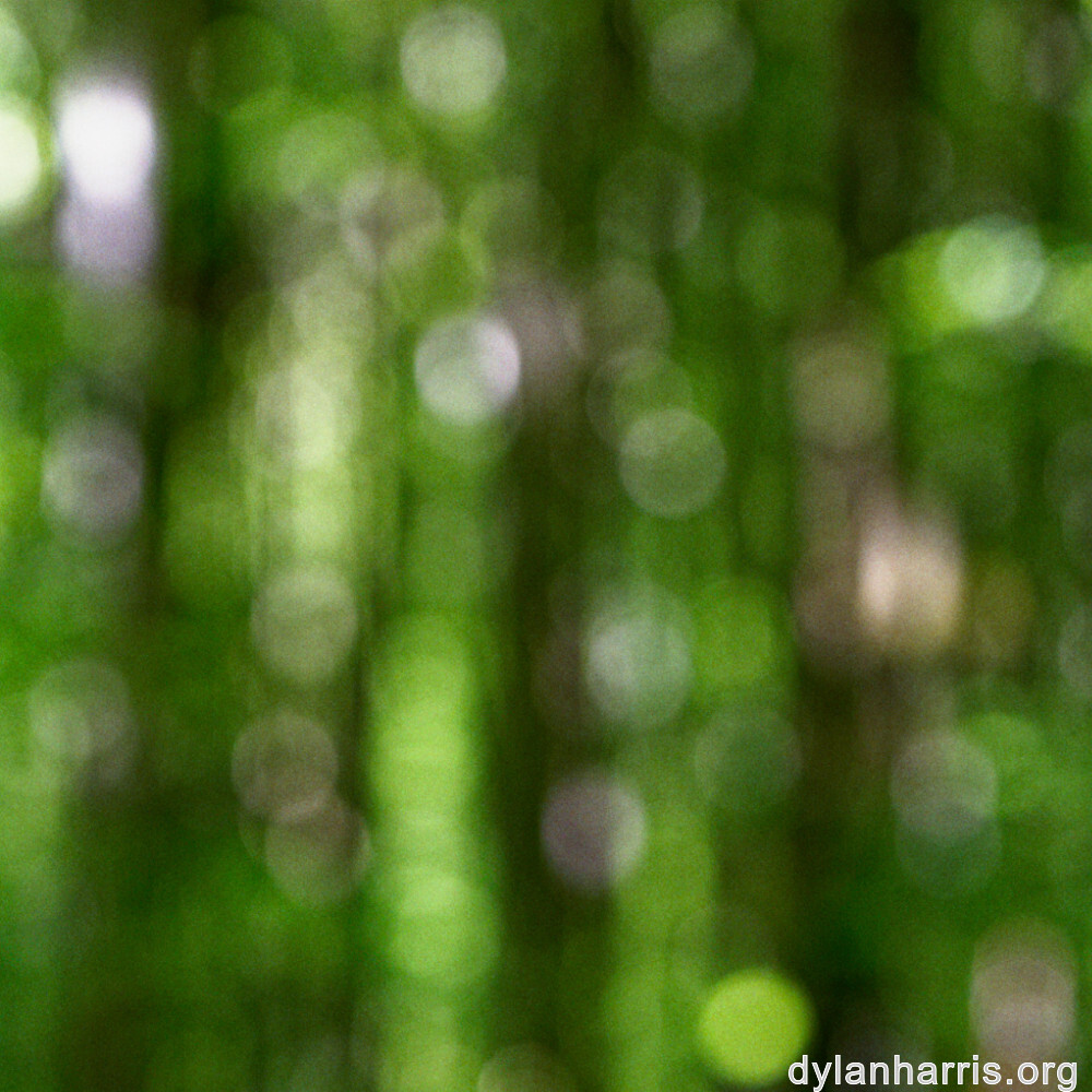 image: This is &lsquo;terres rouges (xviii) 4&rsquo;.