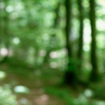 image: Image from the photoset &lsquo;terres rouges (xviii)&rsquo;.