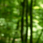 image: Image from the photoset &lsquo;terres rouges (xviii)&rsquo;.