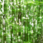 image: Image from the photoset &lsquo;terres rouges (xviii)&rsquo;.