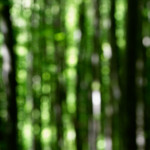 image: Image from the photoset &lsquo;terres rouges (xviii)&rsquo;.