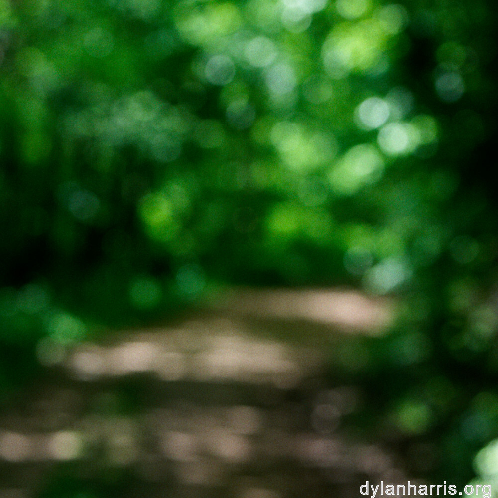 image: This is &lsquo;terres rouges (xix) 4&rsquo;.