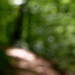 image: Image from the photoset &lsquo;terres rouges (xix)&rsquo;.