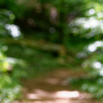 image: Image from the photoset &lsquo;terres rouges (xix)&rsquo;.