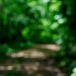 image: Image from the photoset &lsquo;terres rouges (xix)&rsquo;.