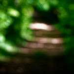 image: Image from the photoset &lsquo;terres rouges (xix)&rsquo;.