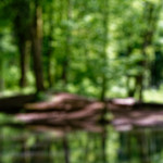 image: Image from the photoset &lsquo;terres rouges (xix)&rsquo;.