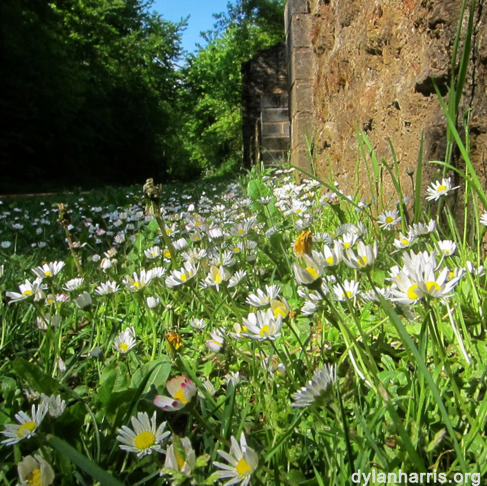 image: This is &lsquo;belvaux (i) 4&rsquo;.