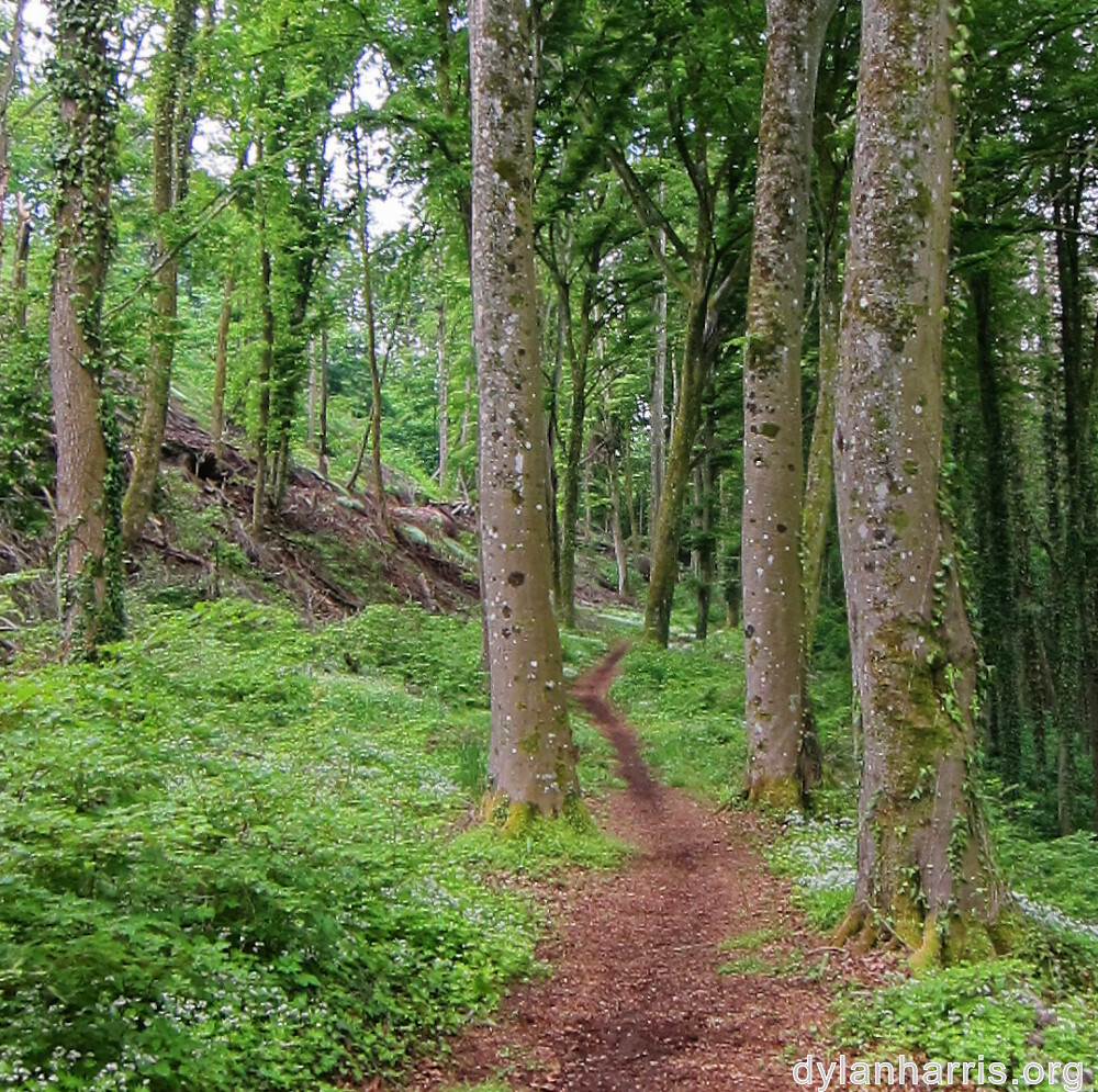 image: This is &lsquo;belvaux (i) 5&rsquo;.