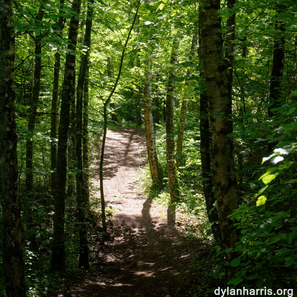 image: This is &lsquo;belvaux (ii) 1&rsquo;.