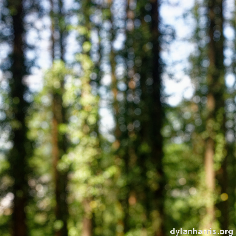 image: This is &lsquo;belvaux (ii) 2&rsquo;.