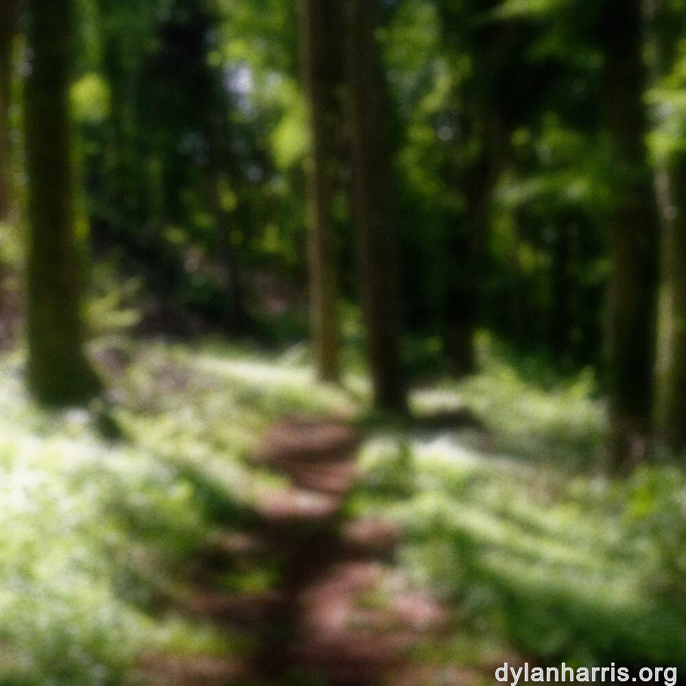 image: This is &lsquo;belvaux (ii) 3&rsquo;.