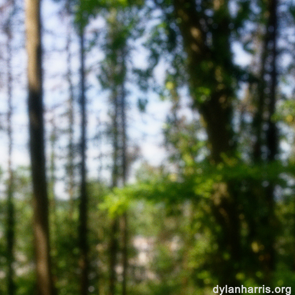 image: This is &lsquo;belvaux (ii) 4&rsquo;.