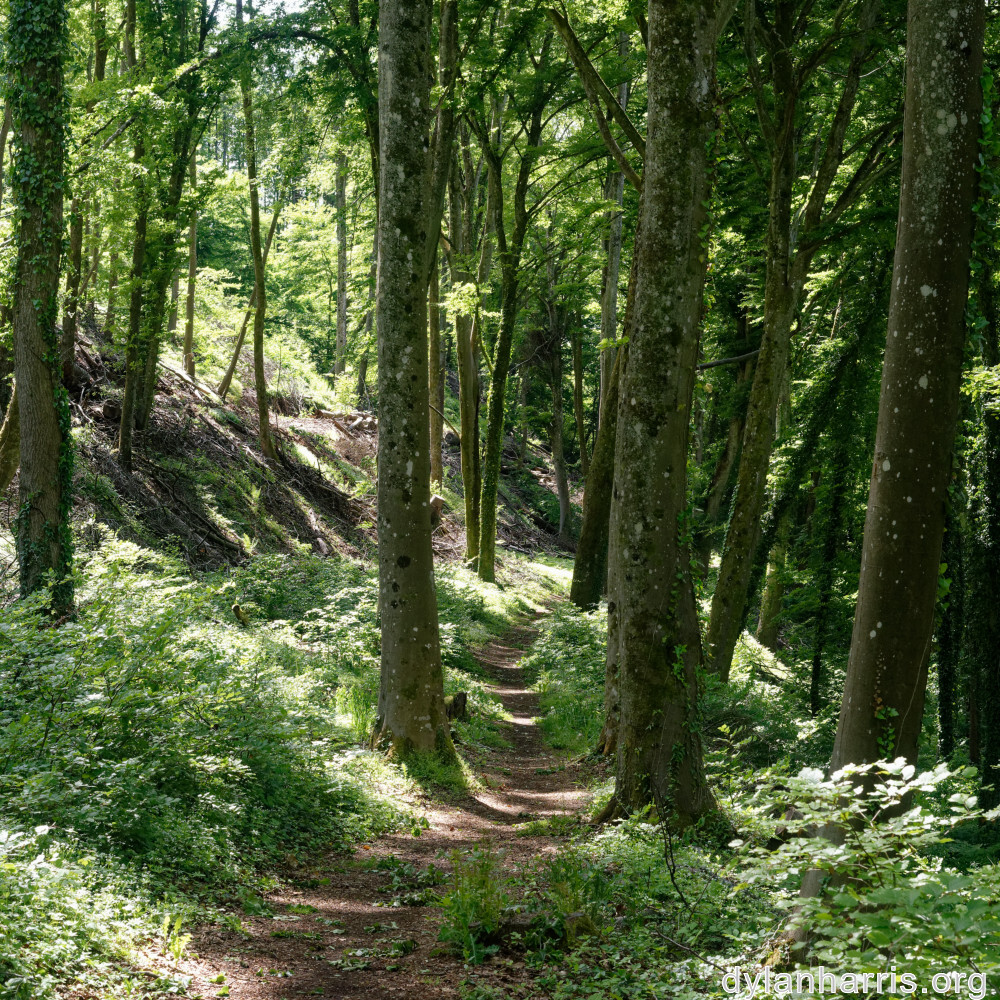 image: This is &lsquo;belvaux (ii) 5&rsquo;.