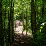 image: Image from the photoset &lsquo;belvaux (ii)&rsquo;.